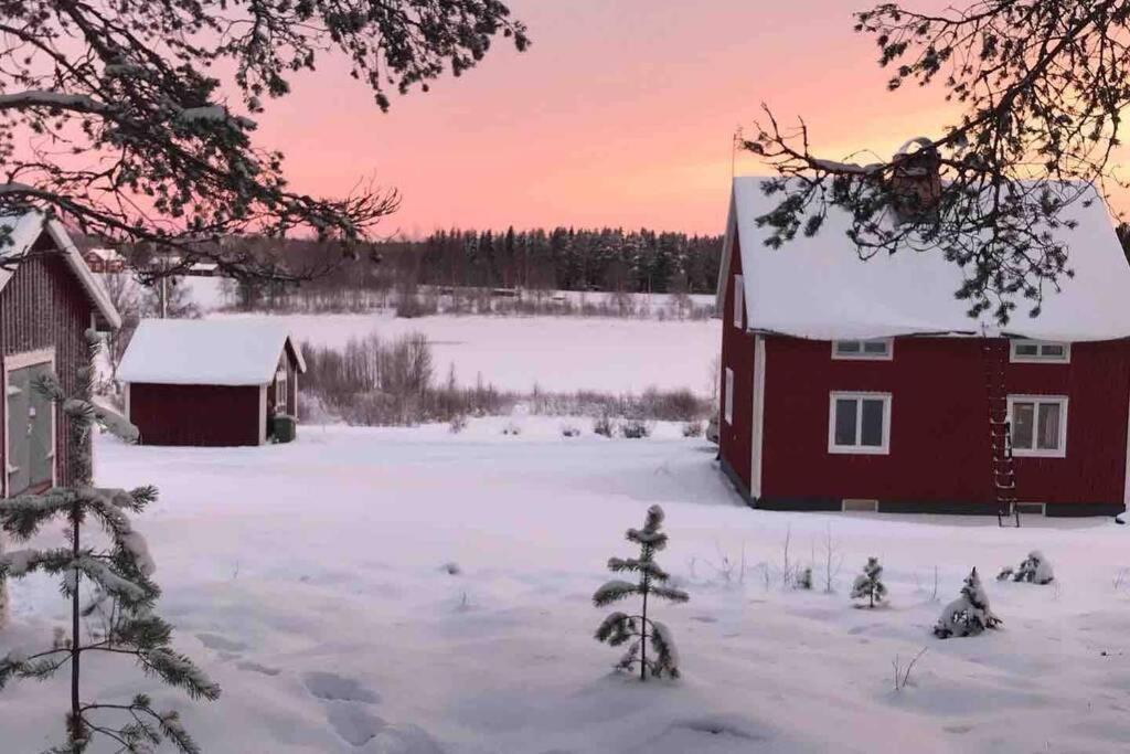 Cozy Home With Lake View-Free Wifi - Free Sauna Overkalix Экстерьер фото